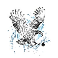 Les Systèmes d'eau Eagle Rive-Sud Inc.
