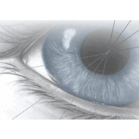 Colander-Nolan Eye Clinic logo - Similar company to Ted'S Auto Clinic, Inc.