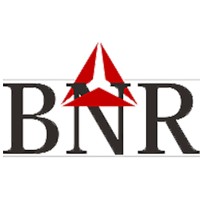 BNR Estates logo - Similar company to Bnr Infrastructure Projects Ltd.