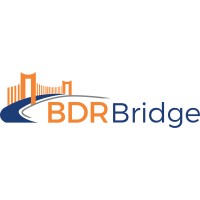 BDR Bridge logo - Similar company to Rsr&Co. Bridge