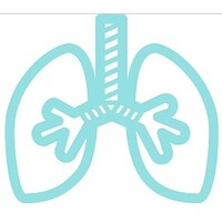 The Pulmonology Specialists Bermuda logo - Similar company to Centre De Pneumologie Zitha