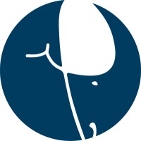 Majed Abu Sharar Media Foundation (MASMF) logo - Similar company to Brandynamix