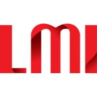 LMI Holdings logo - Similar company to Npontu Technologies Limited