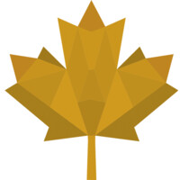 Arcs Of Fire Investments Inc.