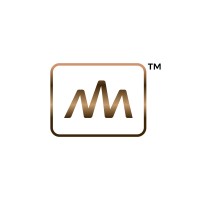 Adeoti LLC logo - Similar company to Interfem