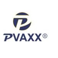 PVAXX Group of Companies logo - Similar company to Solidez Engenharia