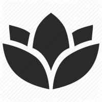 Emergent Wellness LLC