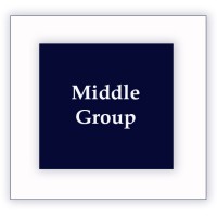 Middle Group Limited logo - Similar company to V3 Recruitment Limited