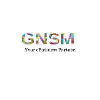 Global Network & Supply Management logo - Similar company to Blueprint Experts Technical Service Llc