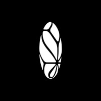 Black Opal logo - Similar company to Abscisa Analytics