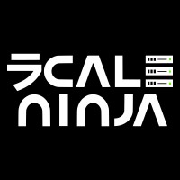 ScaleNinja logo - Similar company to Techarm It Services Inc