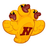 Nelson High School Robotics Team logo - Similar company to Stem Scribblers