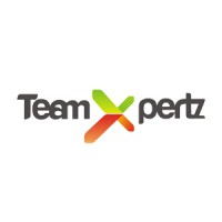 TeamXpertz logo - Similar company to Quantrust Islamabad