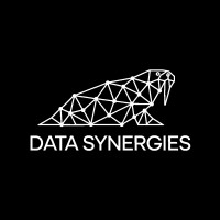 Data Synergies logo - Similar company to Data-Honker