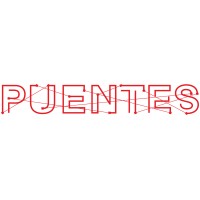 Puentes UC logo - Similar company to Veraz Consultoría Estratégica