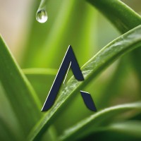 Aara Associates India logo - Similar company to Bioalgin