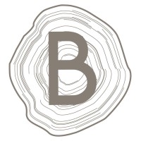 MADERAS Y CHAPAS BLANQUER logo - Similar company to Chapas Norte