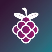 Berries Digital logo - Similar company to Smoothie Rebels®