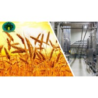 Abed farms logo - Similar company to Myvarm