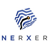 Nerxer Construcción logo - Similar company to Ferall Comunicación