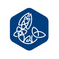 Fintan Academy - Escola de Negócios logo - Similar company to Escola Linux Treinamentos