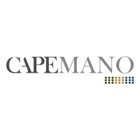 Cape Mano Group Ltd logo - Similar company to Custero Technologies