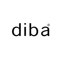 Diba Shoes logo - Similar company to Securetech Solutions Llc