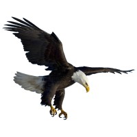 Aerofab Fabrications Ltd logo - Similar company to Advanced Ndt Ltd