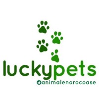 Lucky Pets NGO logo - Similar company to M.T.S. Foundation