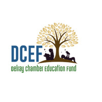 DCEF- Delray Education Fund logo - Similar company to Team Kat & Mouse- Nonprofit Training