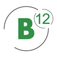 B12 Consulting logo - Similar company to Third Eye Inc.