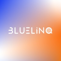 BluelinQ logo - Similar company to Bright Select