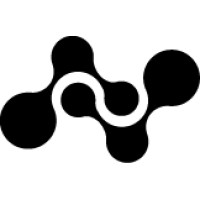 Next Solution logo - Similar company to Twinstar