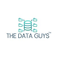 The Data Guys™ logo - Similar company to Naip: Nigerian American Investment Partners