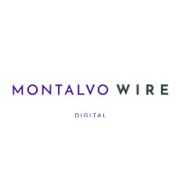Montalvo Wire logo - Similar company to Foo