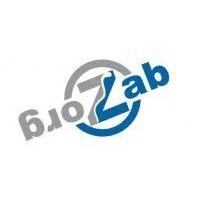 ZAB Zorg logo - Similar company to Zorgflex
