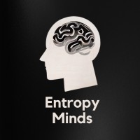 Entropy Minds logo - Similar company to Duck Studios