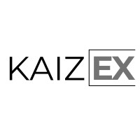 KAIZEX logo - Similar company to Nexta Digital Solutions