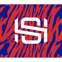 Steven Halliwell Production Ltd logo - Similar company to Lamabe