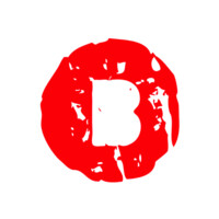 Le Bruit du Bouchon logo - Similar company to Fitizzy - Fitting Expert Solution