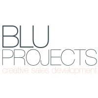 BluProjects logo - Similar company to Df Tex Ltd