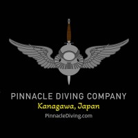 Pinnacle Diving Company logo - Similar company to Pro Dive