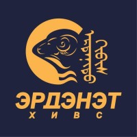 Erdenet Carpet LLC logo - Similar company to Techhub Today