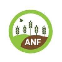 ANF - António Nuno e Filho logo - Similar company to Sitaco - Pavimentos E Revestimentos