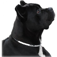 Cane Corso Presidio logo - Similar company to Neurodivergencia Laboral