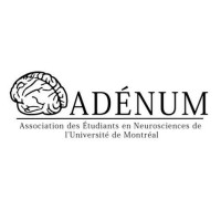 Association des Étudiants en Neurosciences de l'Université de Montréal logo - Similar company to Mcgill University Biological And Biomedical Engineering Student Society