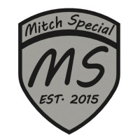 MitchSpecial logo - Similar company to Dashform Solutions