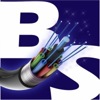Bs News Internet logo - Similar company to Ideal Companny Contabilidade