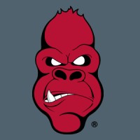 Angry Ape® Creative logo - Similar company to Circle City Web Design