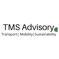 TMS Advisory logo - Similar company to Basco&T Consulting